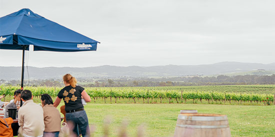 Half Day Wine Tours Melbourne